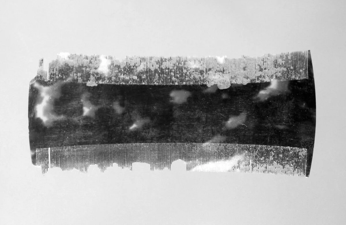 Lice comb (part of a set) — Unknown