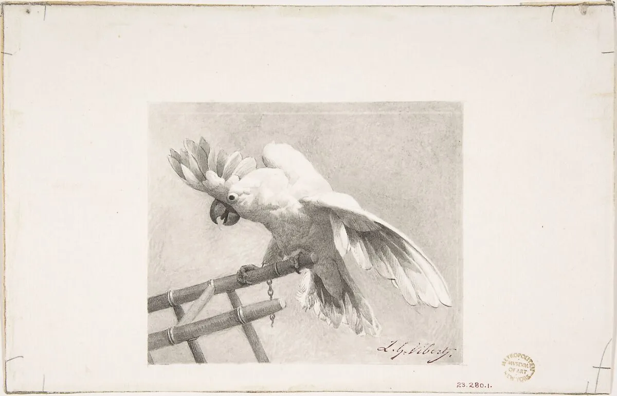 The Angry Parrot — Jean-Georges Vibert
