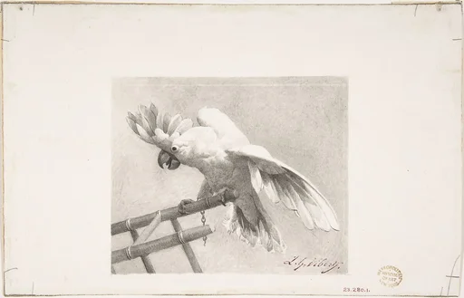 The Angry Parrot