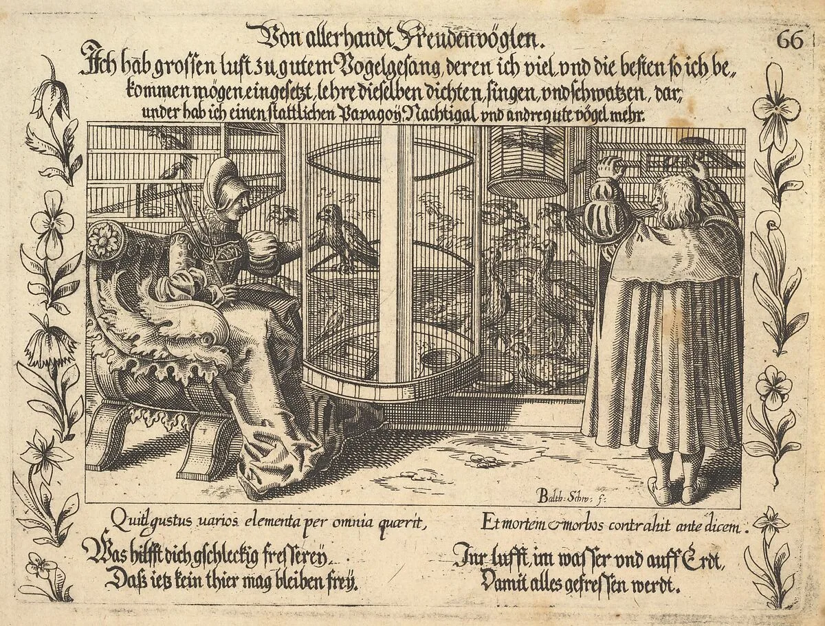 Von allerhandt Freudenvöglen, illustration from Petrarch, Glück und Unglück Spiegel, figure 66 — Balthasar Schwan