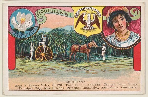 Louisiana, postcard from the Cards of States series (D22), issued by the Cushman Bread Company — Cushman Bread Company