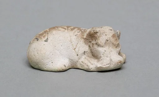 Hippopotamus
