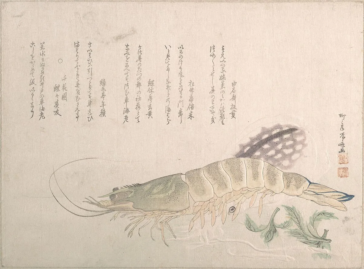 Untitled — Ryūryūkyo Shinsai