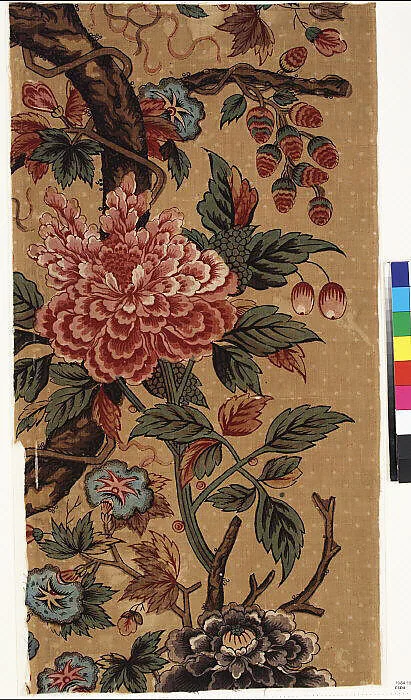 Panel — Unknown