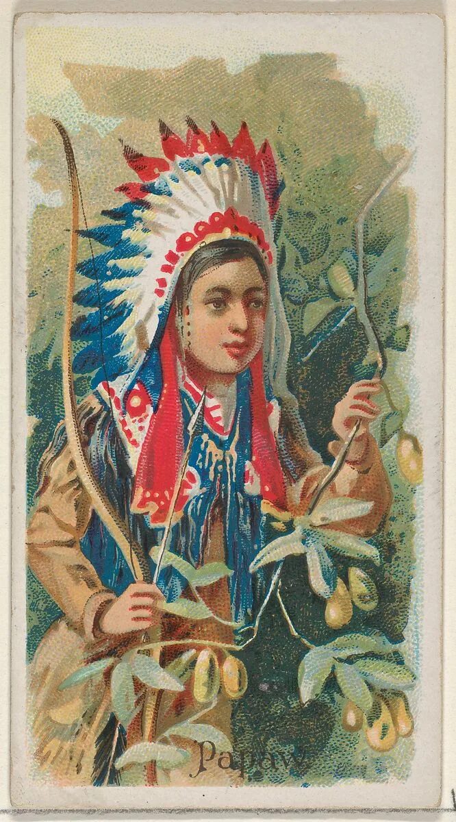 Papaw, from the Fruits series (N12) for Allen & Ginter Cigarettes Brands — Allen & Ginter|George S. Harris & Sons