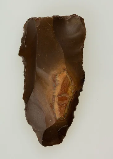 Denticulated Tool