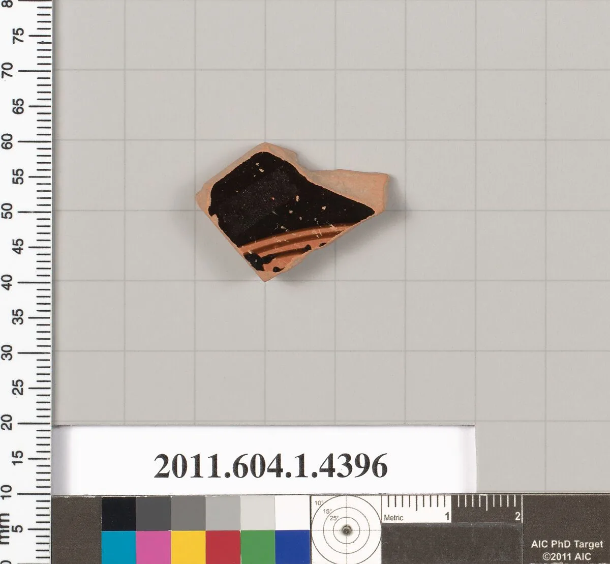 Terracotta fragment of a kylix (drinking cup) — Unknown