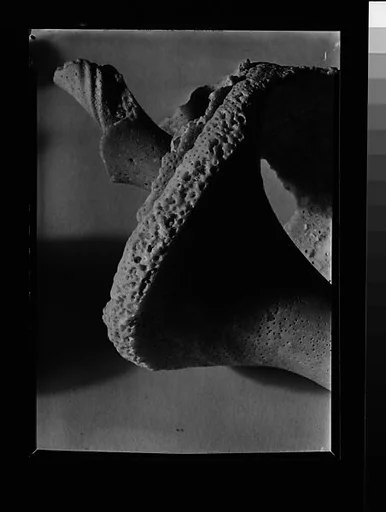 [Shell Detail]