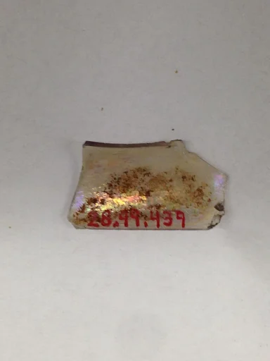 Fragment