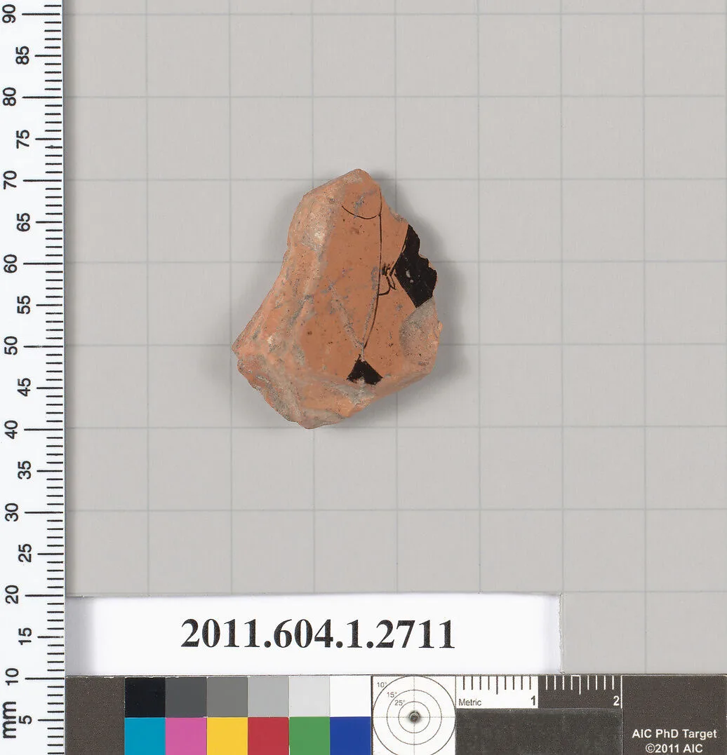 Terracotta fragment of a kylix (drinking cup) — Unknown