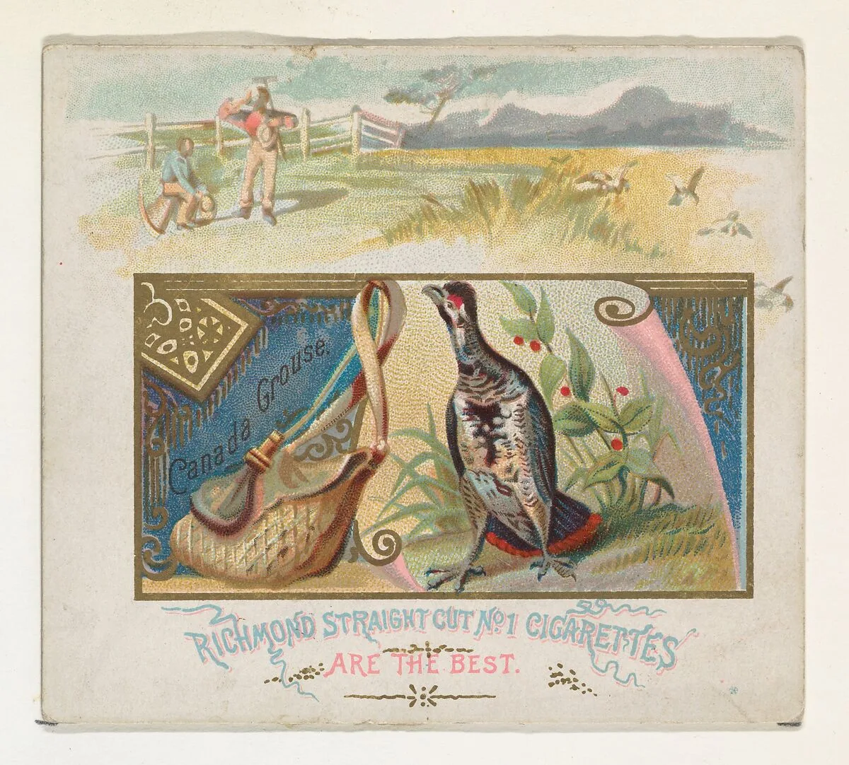 Canada Grouse, from the Game Birds series (N40) for Allen & Ginter Cigarettes — Allen & Ginter