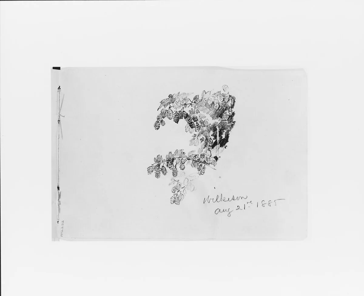 Wilkeson Aug 21st 1885: Nature Study (from Sketchbook X) — William Trost Richards