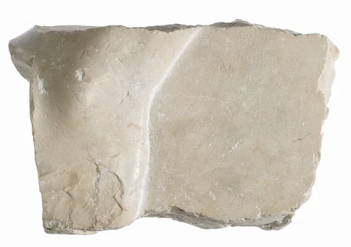 Left foot fragment