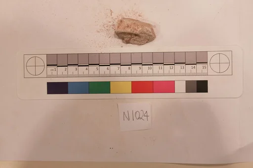 Stucco Fragment