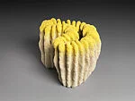 サンゴ|Coral Sculpture