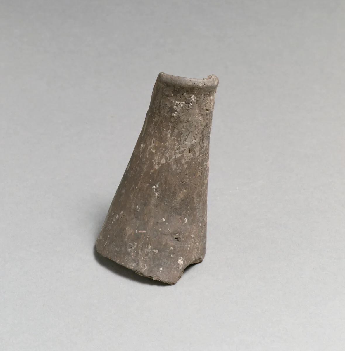 Jug beak — Unknown