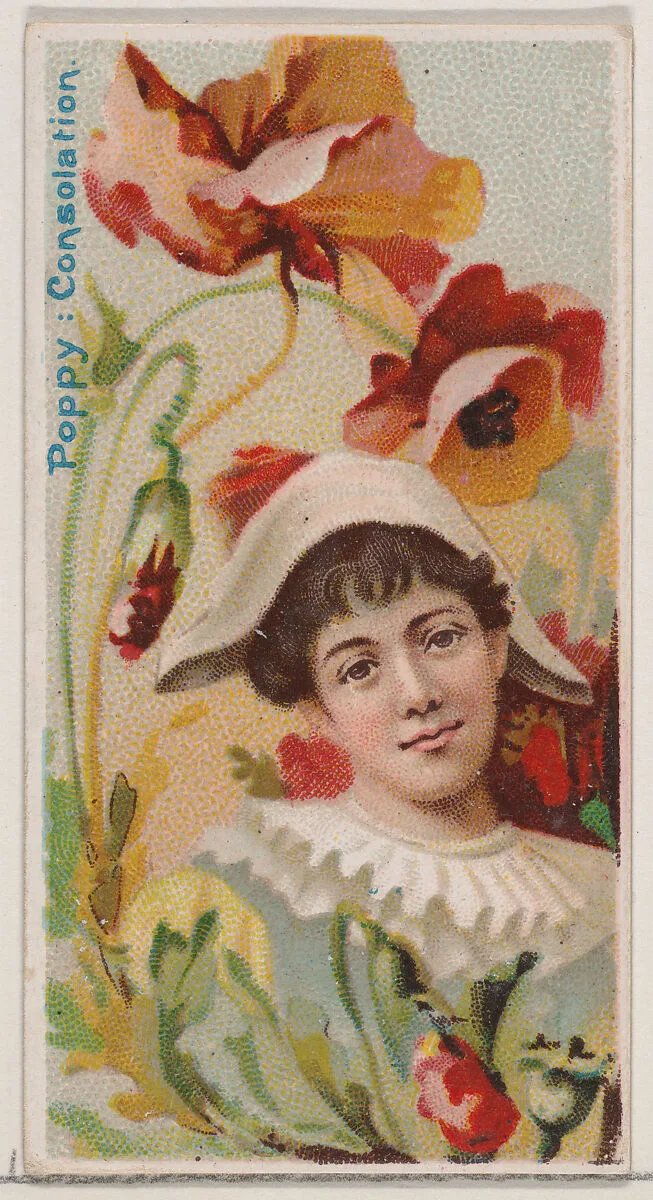 Poppy: Consolation, from the series Floral Beauties and Language of Flowers (N75) for Duke brand cigarettes — Donaldson Brothers|American Tobacco Company