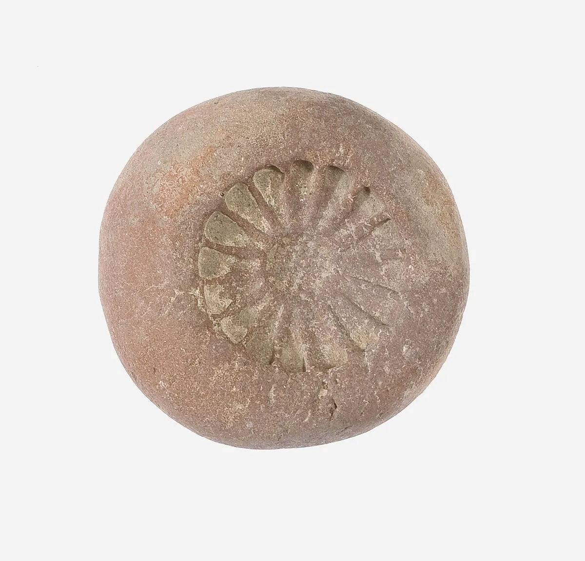 Small Daisy Mold — Unknown