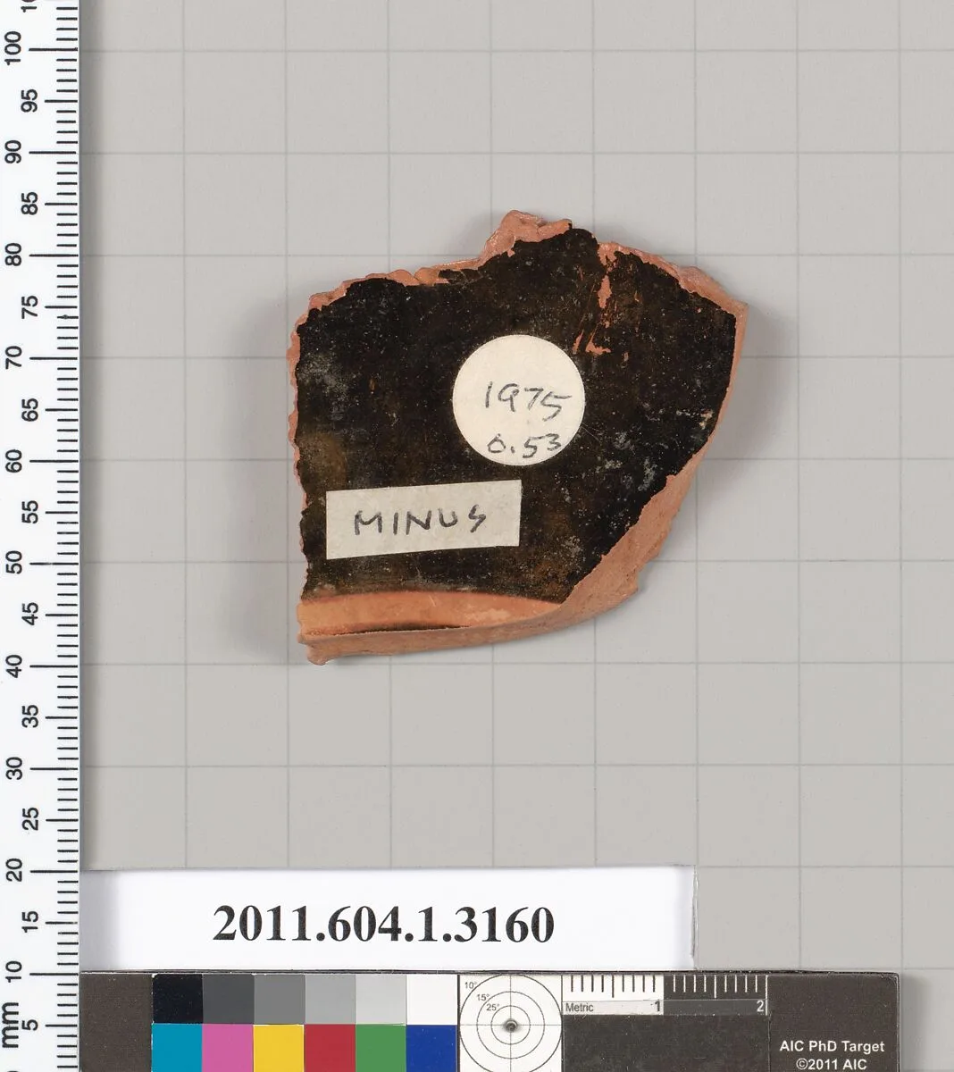 Terracotta fragment of a kylix (drinking cup) — Unknown