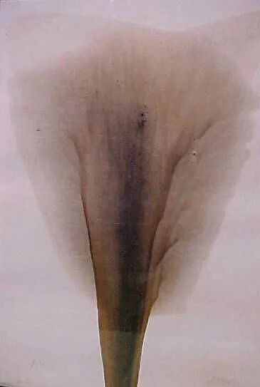 Untitled — Otto Piene