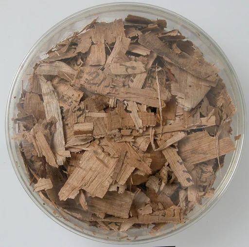 Papyri Fragments