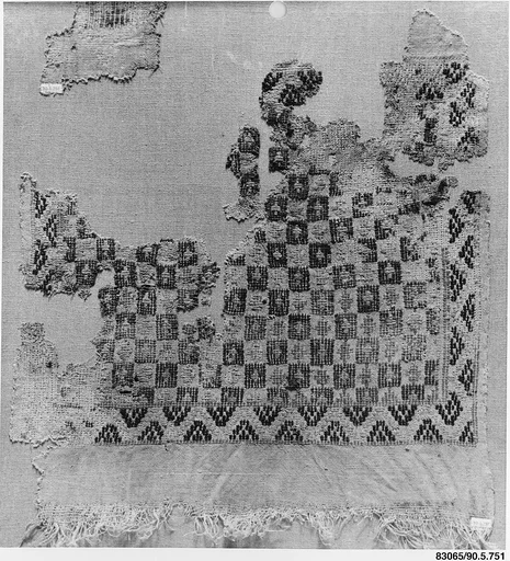 Textile Fragment