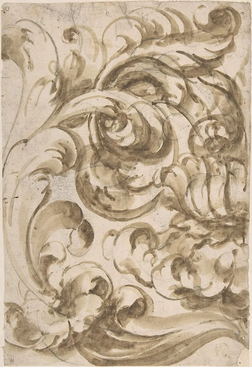 Acanthus Scroll — Anonymous, Italian, 17th century