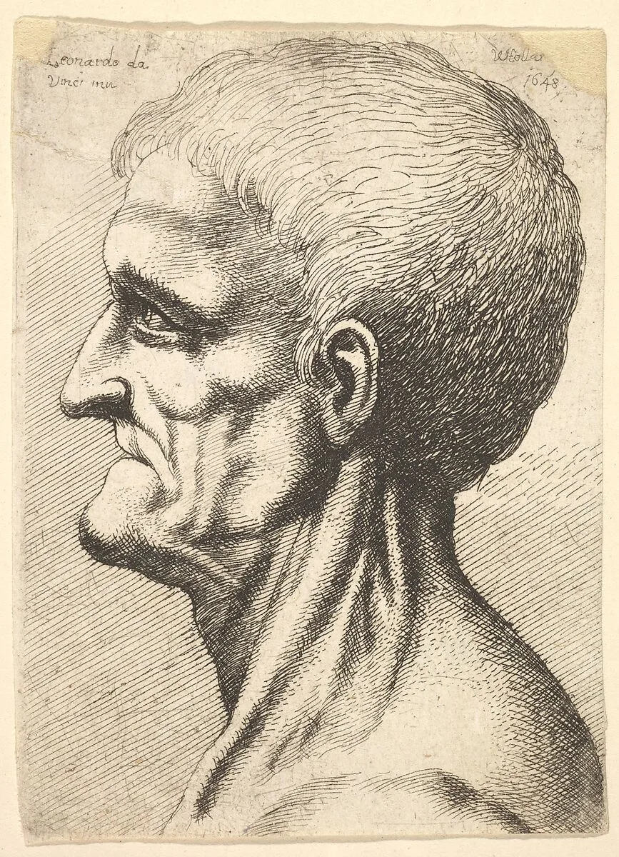 Head of a toothless man with bare, sinewy neck in profile to left — Leonardo da Vinci|Wenceslaus Hollar