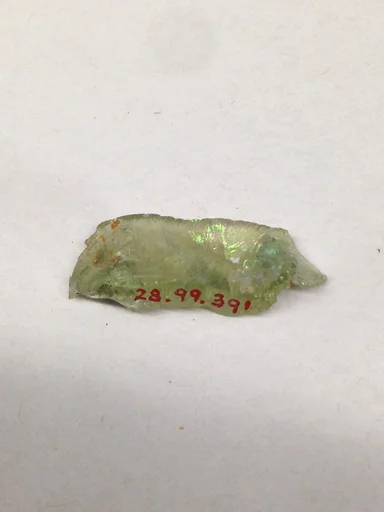 Fragment