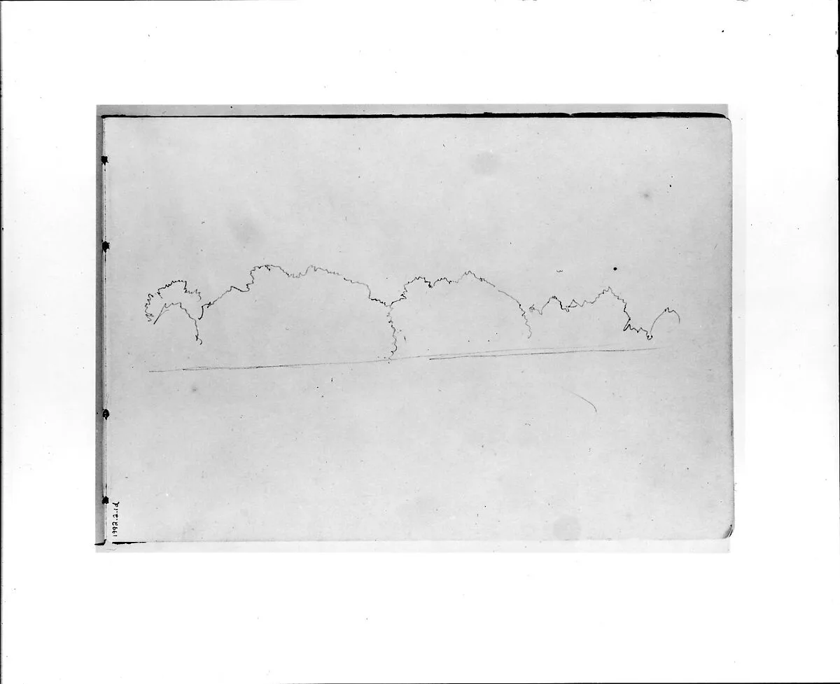 Outline Sketch of Tress (from Sketchbook VII) — William Trost Richards