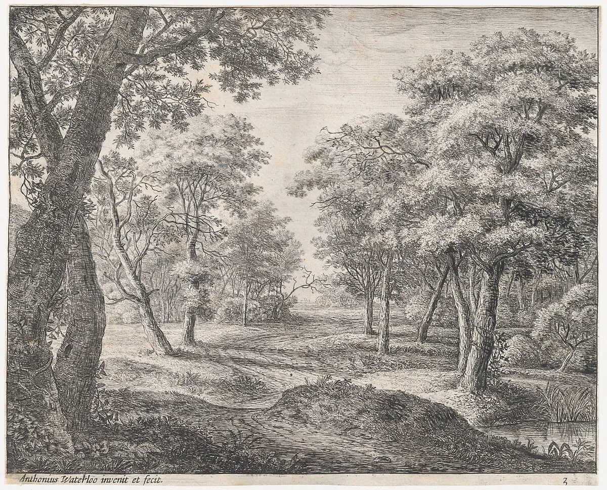 The Road Through the Woods — Anthonie Waterloo