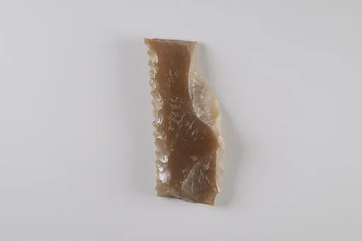 Sickle Insert