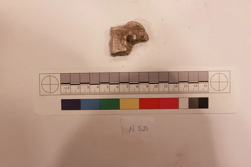 Stucco Fragment