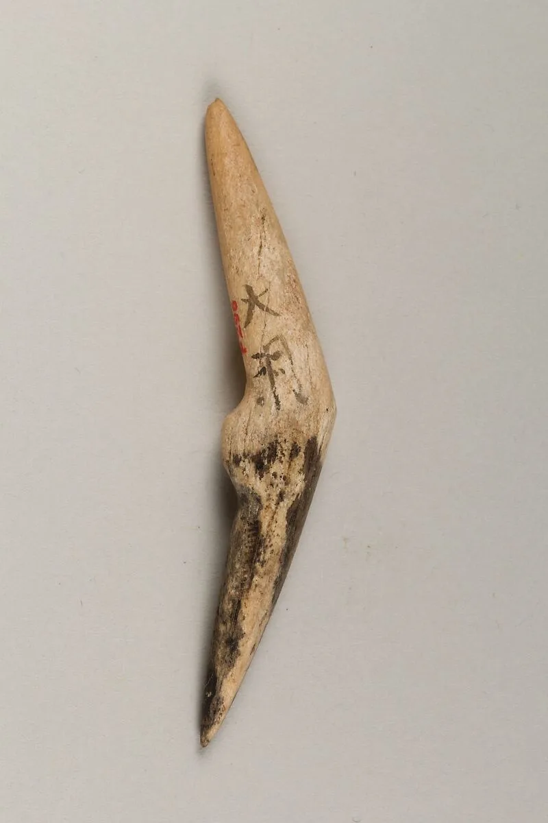装身具|Body ornament — Unknown