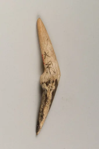 装身具|Body ornament