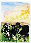 Devonshire Cows