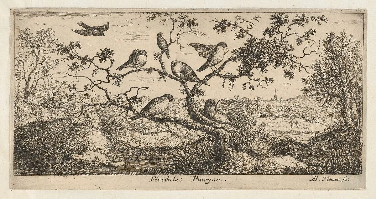 Ficedula, Piuoyne (The Bullfinch), from "Livre d'Oyseaux" (Book of Birds) — Albert Flamen
