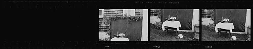 [94 Views of Tworkov-Moskowitz Wedding]
