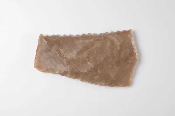 Sickle Insert — Unknown