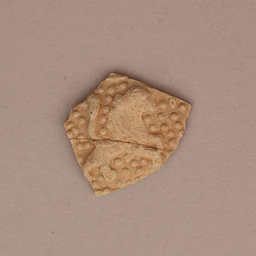 Fragment