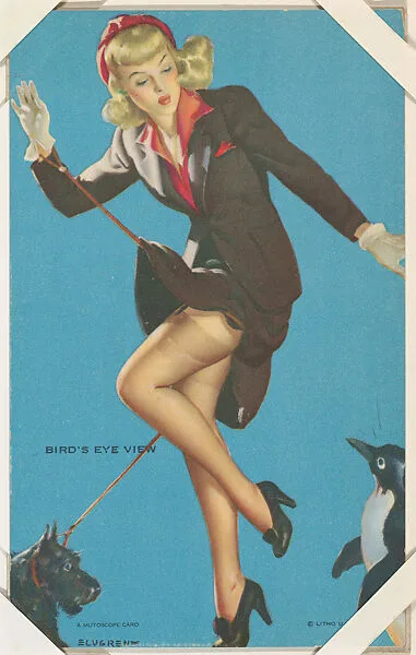Bird's Eye View from Follies Girls series (W424) — International Mutoscope Reel Company