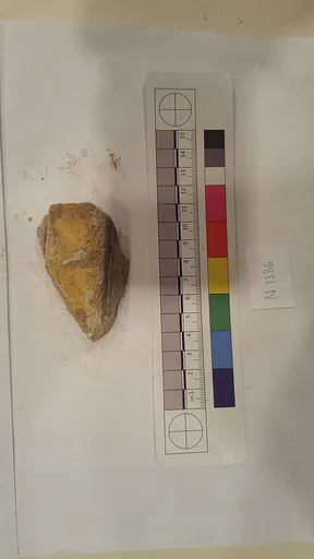 Stucco Fragment