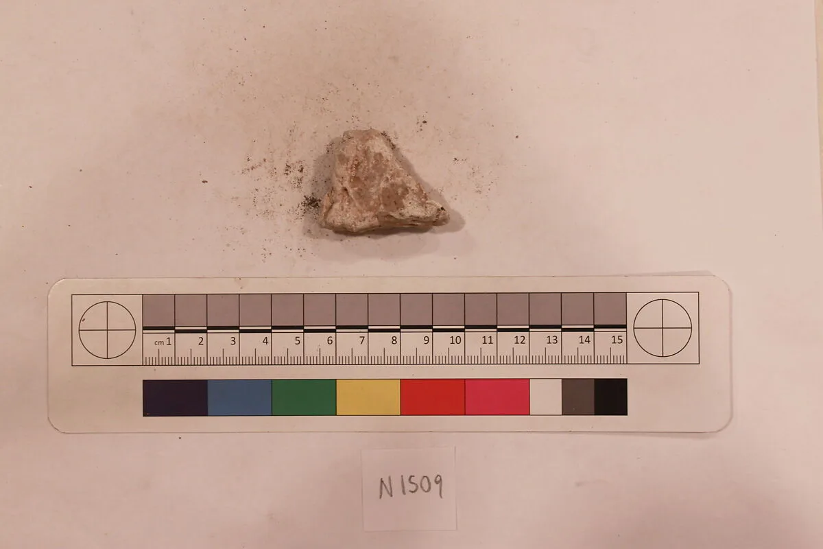 Stucco Fragment — Unknown