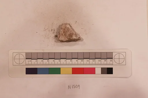 Stucco Fragment