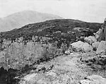 Mt. Mansfield, Vermont