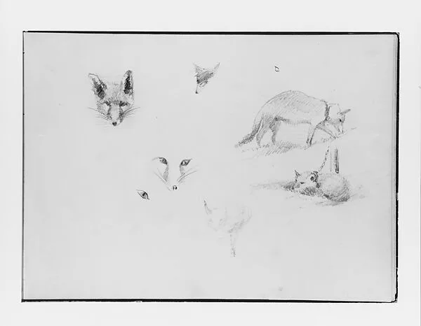 Foxes (from Switzerland 1870 Sketchbook) — John Singer Sargent