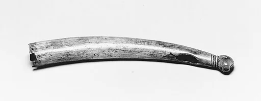 Horn