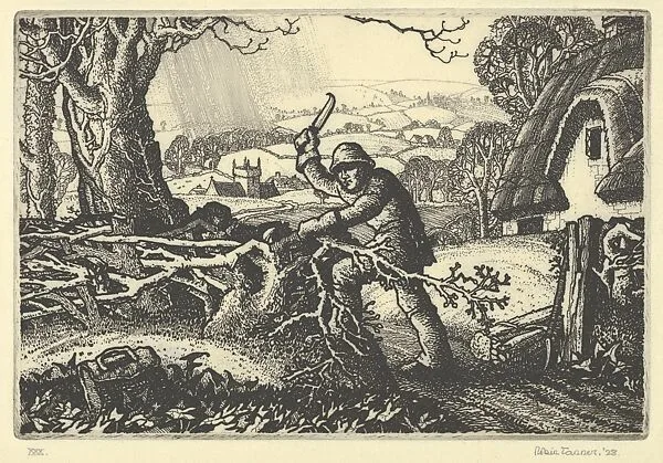 Wiltshire Hedger — Robin Tanner