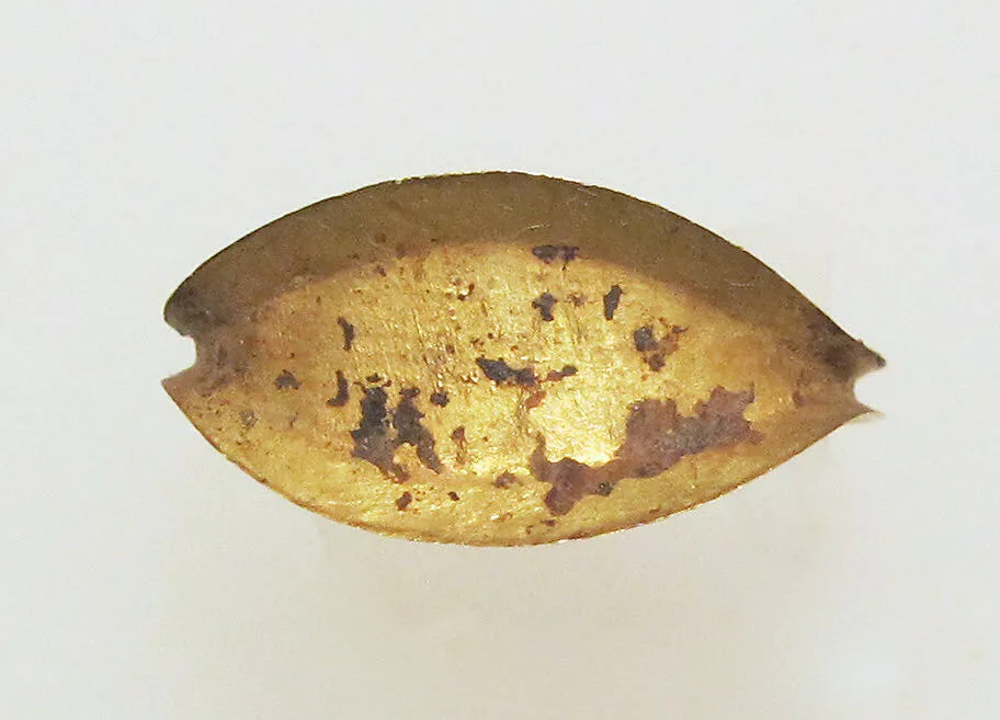 Ring — Unknown