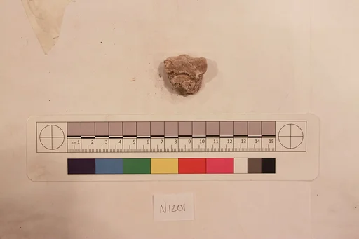 Stucco Fragment